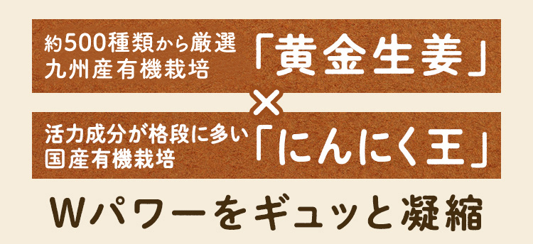 「約500種類もの中から厳選した希少な「黄金生姜」、活力成分が格段に多い九州産有機栽培「にんにく」。Wパワーをギュッと凝縮