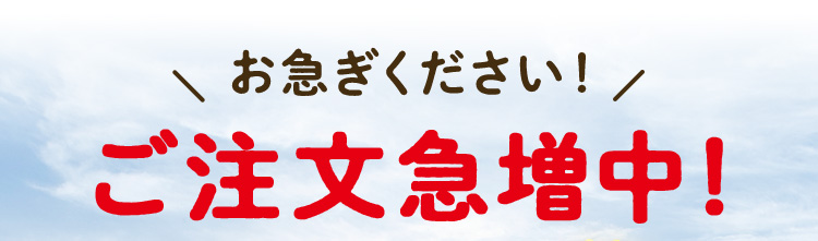 お急ぎください！ご注文急増中！