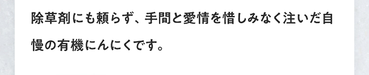 化学的な農薬や肥料、除草剤にも頼らず、手間と愛情を惜しみなく注いだ自慢のにんにくです。