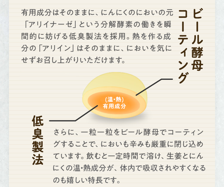 有用成分はそのままに、にんにくのにおいの元「アリイナーゼ」という分解酵素の働きを瞬間的に妨げる低臭製法を採用。ぽかぽか成分の「アリイン」はそのままに、においを気にせずお召し上がりいただけます。さらに、一粒一粒をビール酵母でコーティングすることで、においも辛みも厳重に閉じ込めています。飲むと一定時間で溶け、生姜とにんにくのぽかぽか成分が、体内で吸収されやすくなるのも嬉しい特長です。