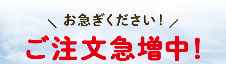 お急ぎください！ご注文急増中！